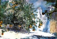 Homer, Winslow - Orange Tree Nassau aka Orange Trees and Gate